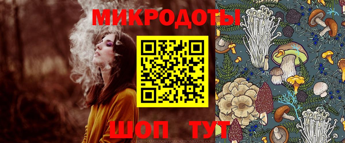 Галлюциногенные грибы Psilocybine cubensis  Псилоцибиновые грибы прущие грибы  Сургут  Вход с VPN 